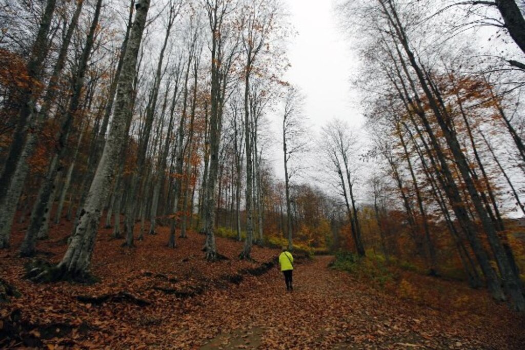 Samsun'un doğa harikası Nebiyan Dağı'ndan muhteşem fotoğraflar