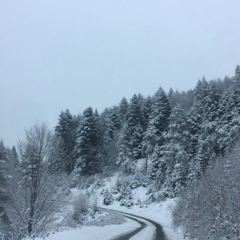Samsun'un doğa harikası Nebiyan Dağı'ndan muhteşem fotoğraflar