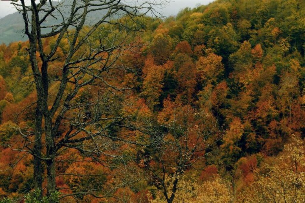 Samsun'un doğa harikası Nebiyan Dağı'ndan muhteşem fotoğraflar
