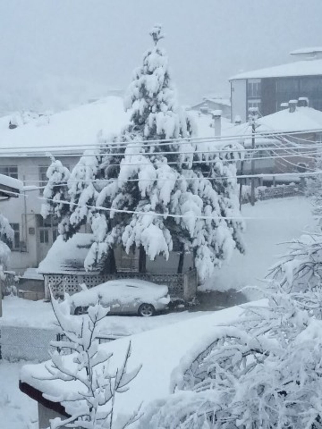 Samsun'da Ladik ilçesine kar yağdı her yer beyaza büründü