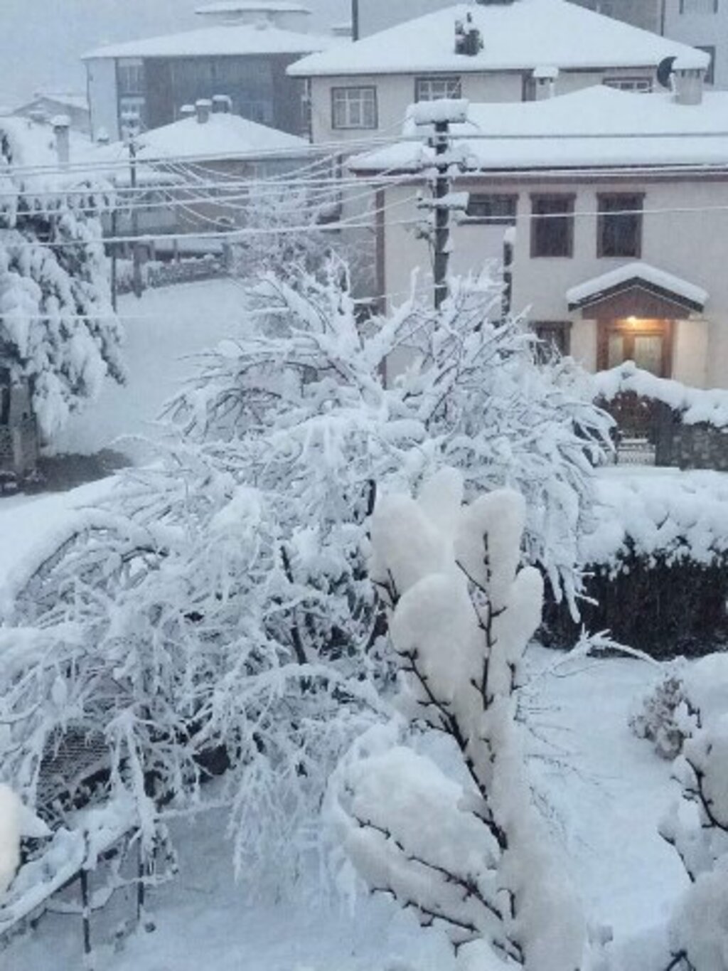 Samsun'da Ladik ilçesine kar yağdı her yer beyaza büründü
