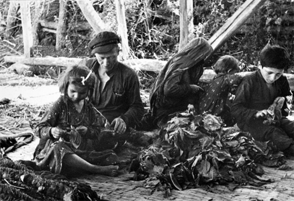 Samsun'da 87 yıl önce çekilen fotoğraflar! 