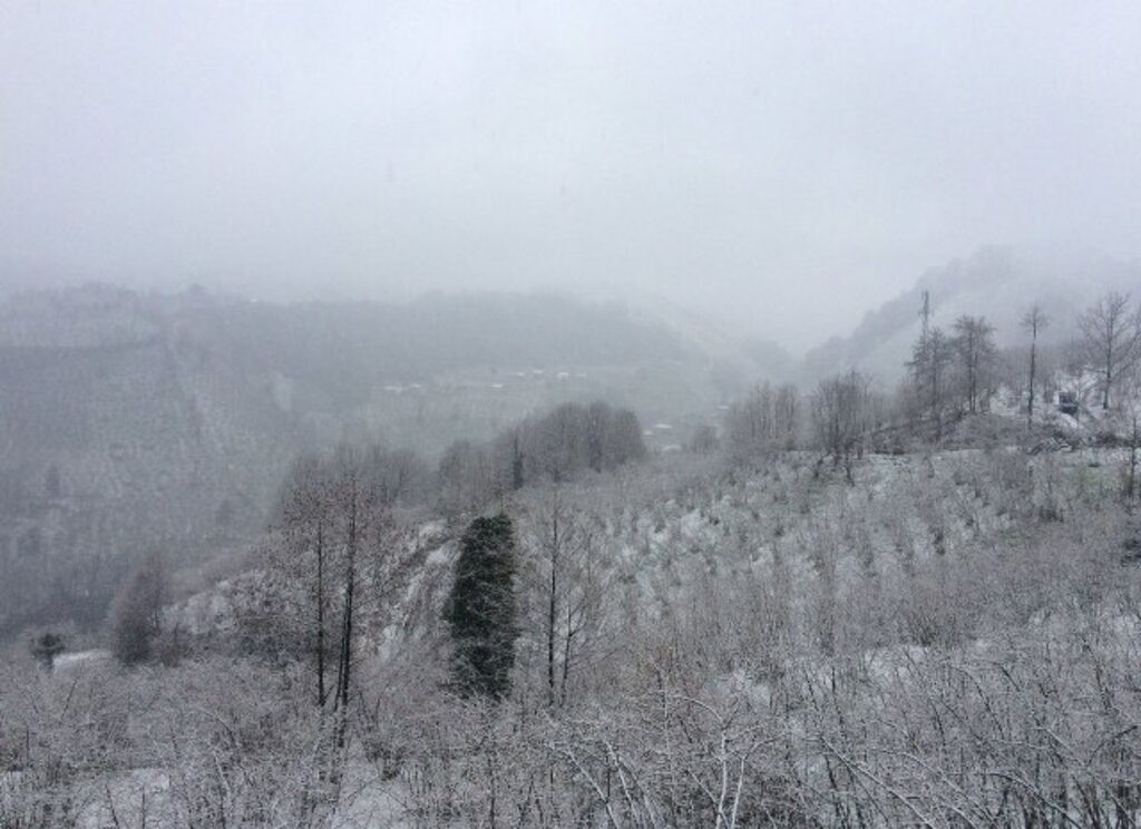 Samsun'da karın üzerine Zeytin Dalı yazıldı! Samsun'dan kar fotoğrafları