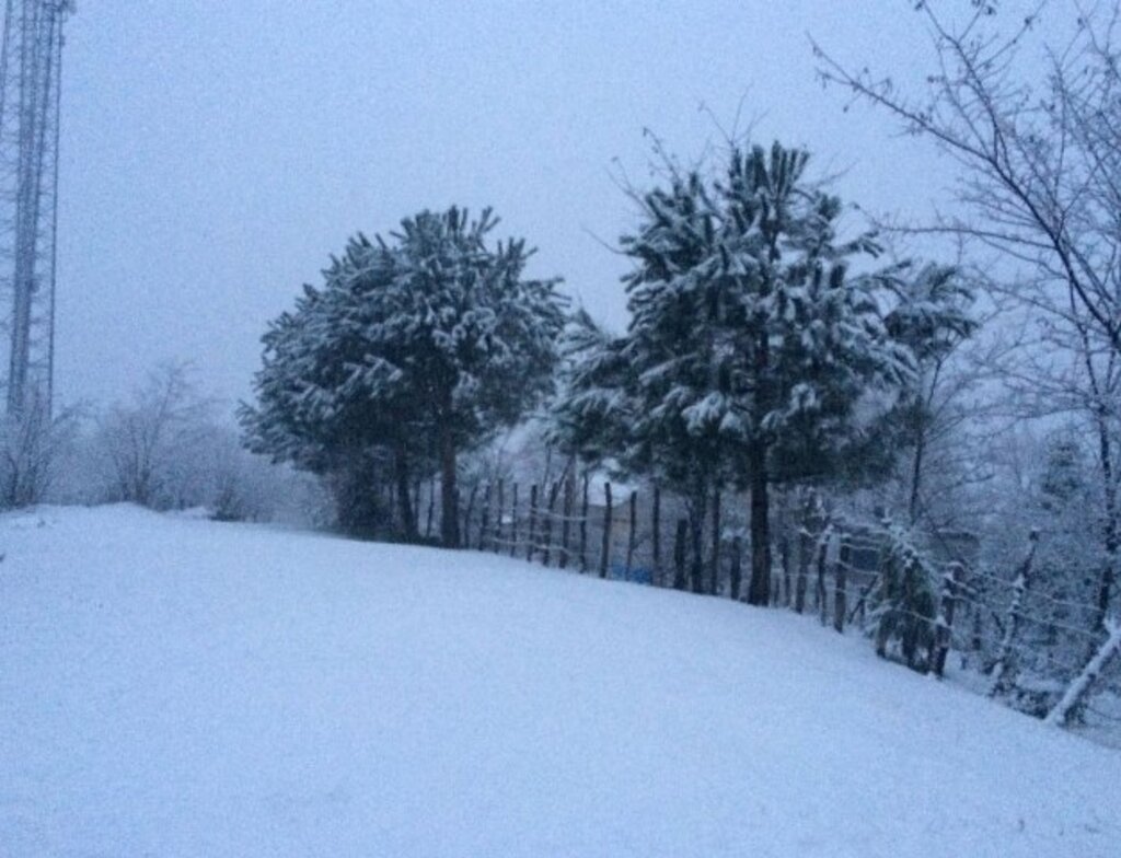 Samsun'da karın üzerine Zeytin Dalı yazıldı! Samsun'dan kar fotoğrafları