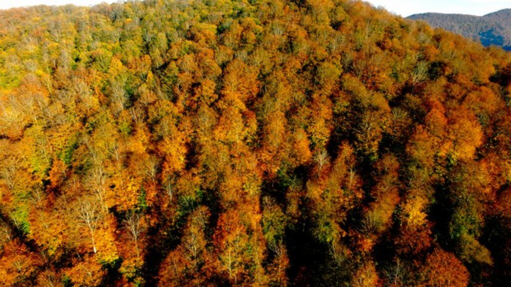 Samsun'da Nebiyan Dağından muhteşem sonbahar fotoğrafları