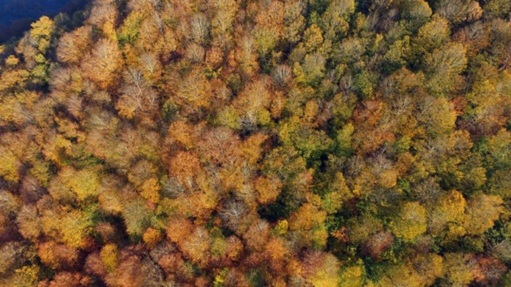 Samsun'da Nebiyan Dağından muhteşem sonbahar fotoğrafları