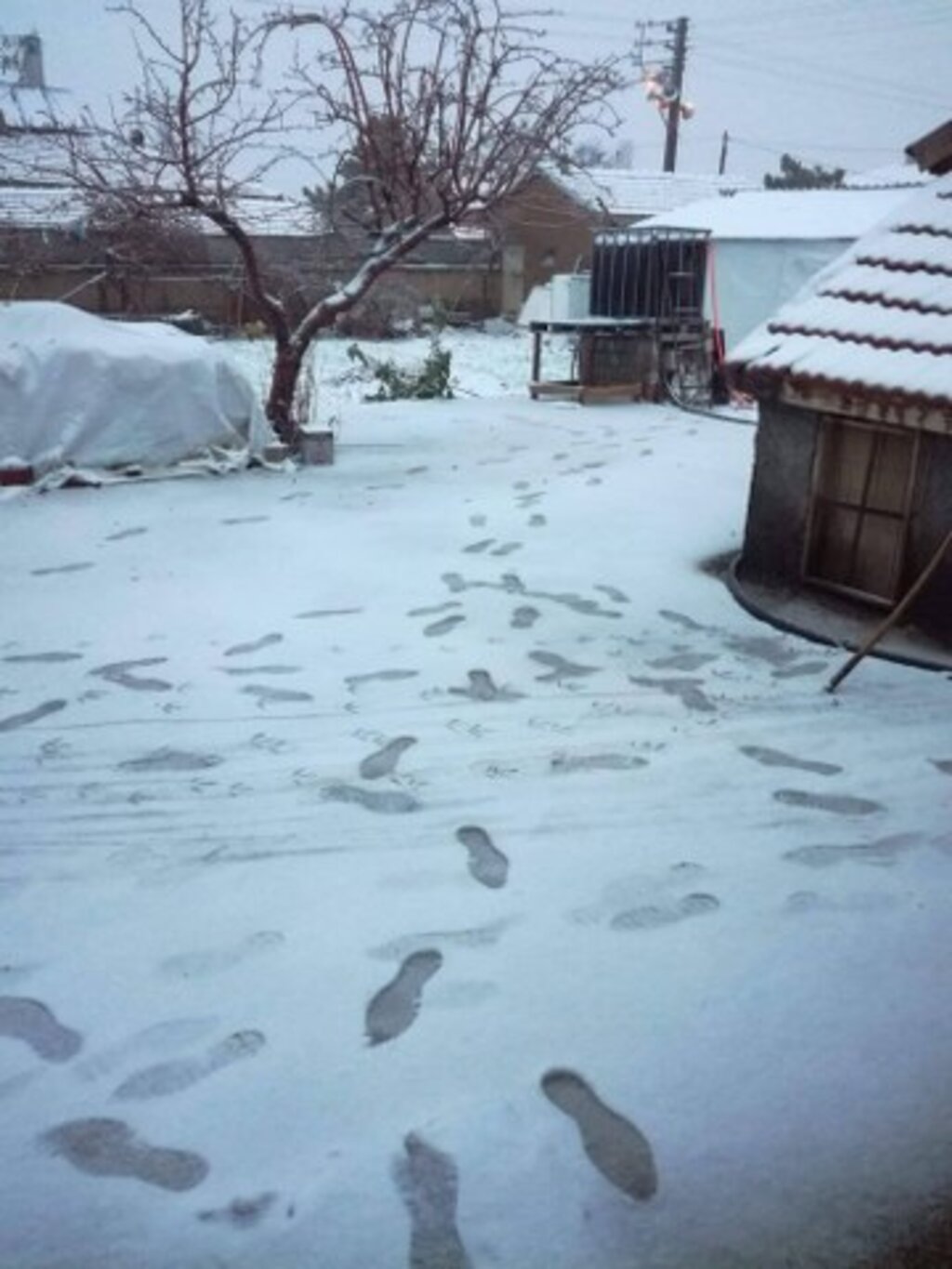Samsun'da kartpostallık kar görüntüleri