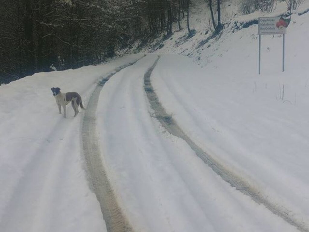 Samsun'da kartpostallık kar görüntüleri