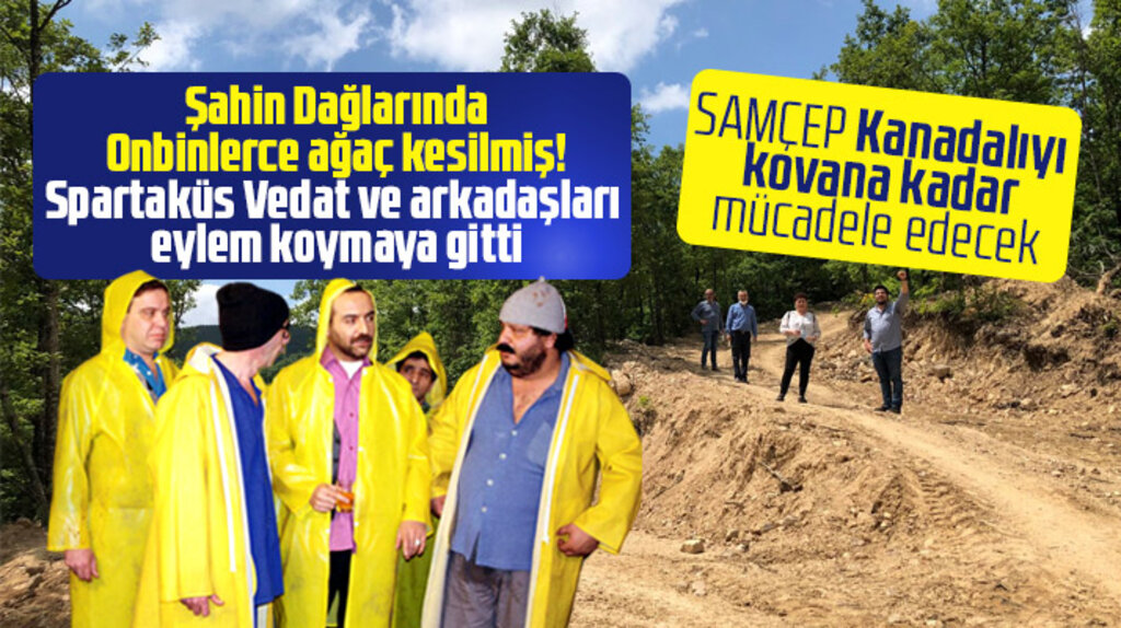 SAMÇEP Şahin Dağlarında onbinlerce ağacın kesildiğini açıkladı