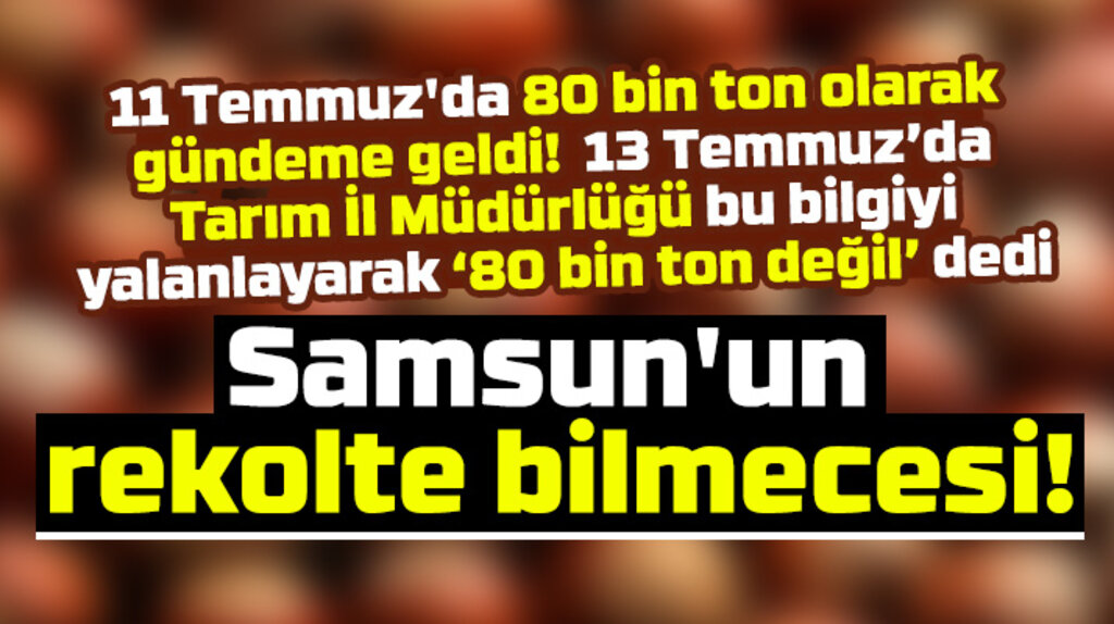 Samsun'un 2020 fındık rekoltesi 80 bin ton mu, 123 bin ton mu, 127 bin ton mu?