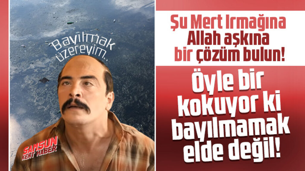 Samsun'da Mert Irmağı bayıltacak düzeyde kokuyor
