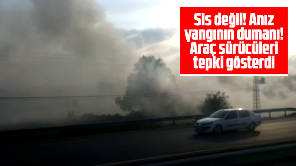 Samsun'da Alaçam karayolu üzerinde anız yangınları sürücülere zor anlar yaşattı