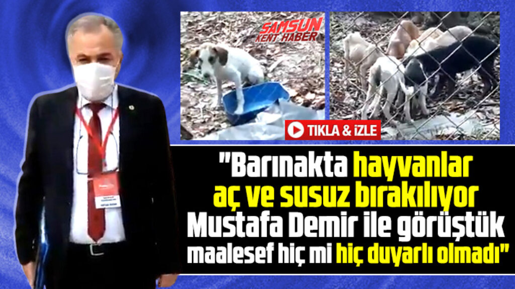 Samsun'da hayvan barınağında hayvanlar aç ve susuz bırakılıyor iddiası!