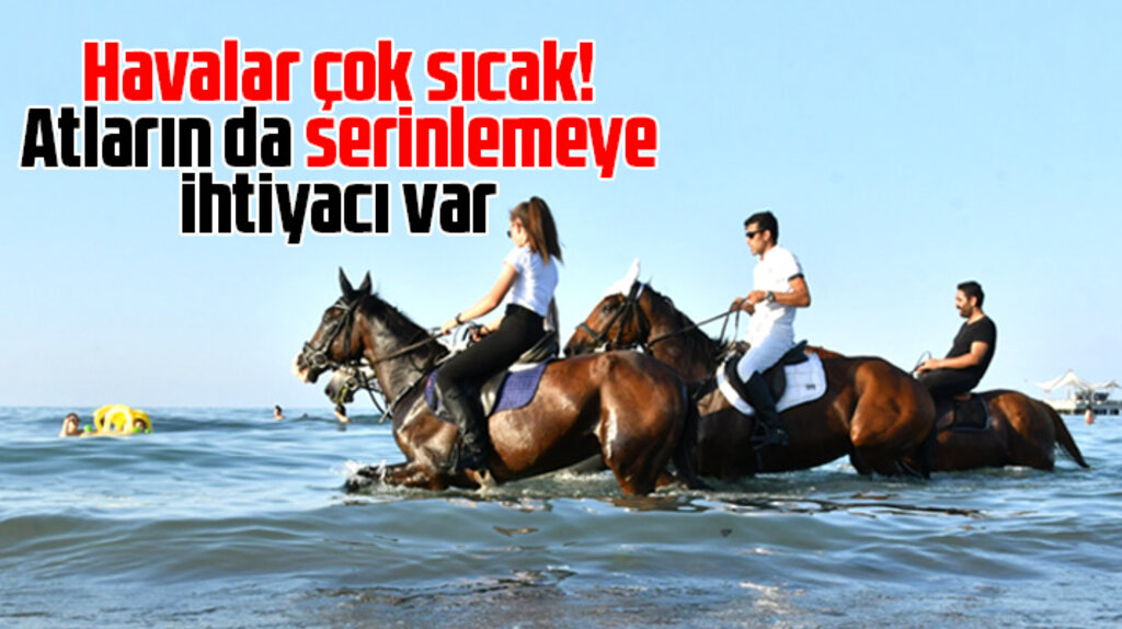 Samsun'da binicilik spor tesisi atları denize girerek serinledi