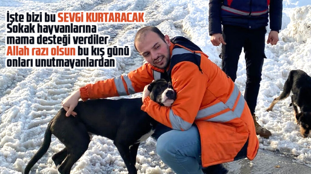 Samsun Büyükşehir kar yağışı nedeniyle sokak hayvanlarına mama desteği verdi