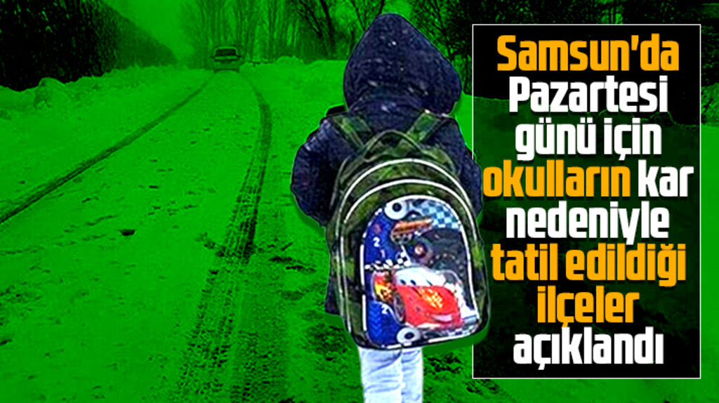 Samsun'da 14 Mart Pazartesi günü kar tatili verilen okulların listesi