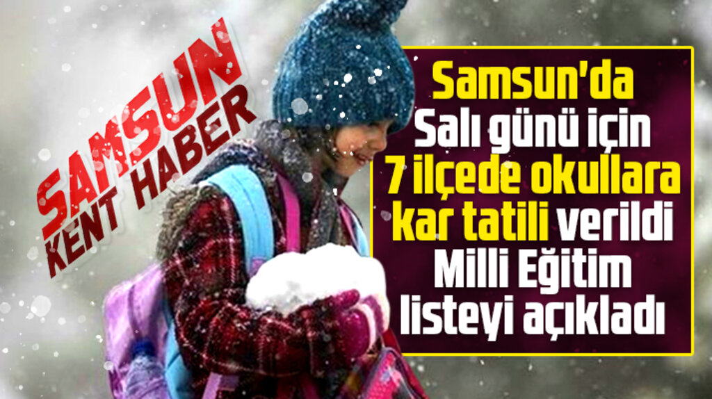 Samsun'da Salı günü için 7 ilçede okullara kar tatili verildi! Milli Eğitim listeyi açıkladı! 