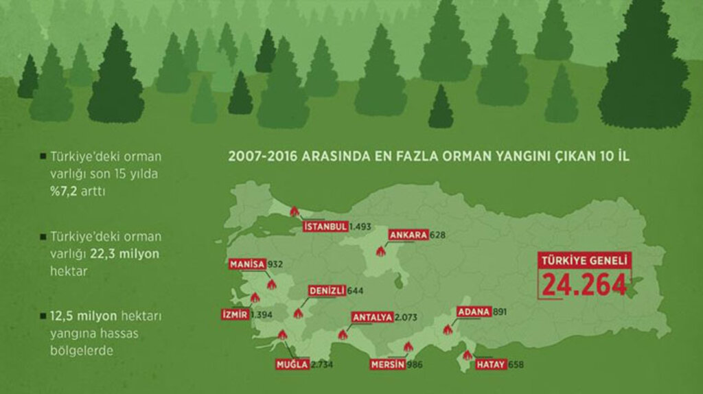 Türkiye'de son 10 yılda 24 bin 264 orman yangını çıktı