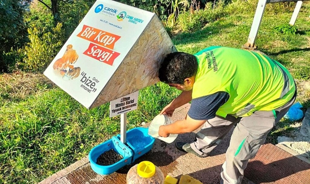 Samsun'da Canik Belediyesi 2022 yılında sokak hayvanlarını 8 ton mama ile besledi