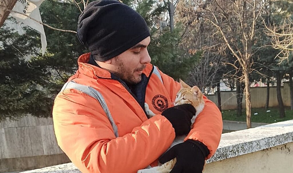 Samsun Büyükşehir ekipleri deprem bölgesinde kediye sahip çıktı
