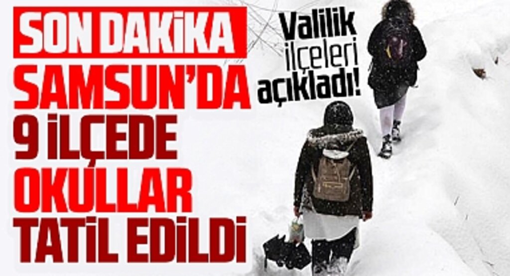 Samsun'da son dakika! Pazartesi günü 9 ilçede okullara kar tatili verildi