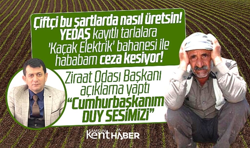 Samsun'da YEDAŞ çiftçiye ceza kesiyor! Terme Ziraat Odası duruma tepki gösterdi