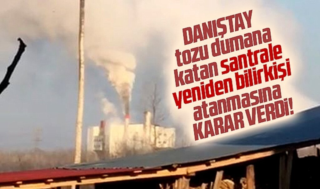 Samsun'da ki Biyokütle Santrali için Danıştay 6. Daire'den yeni karar!