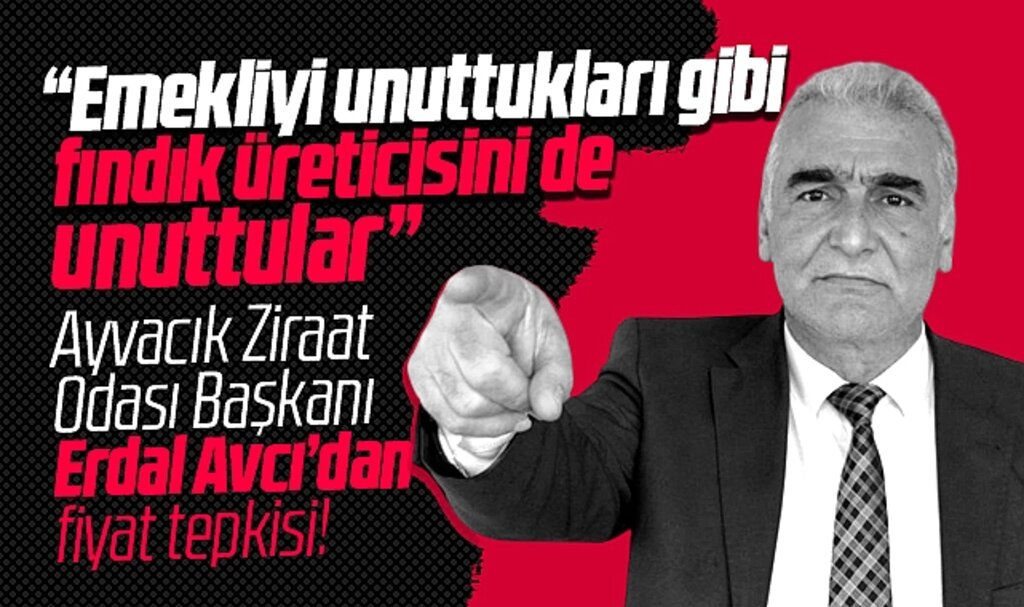 Samsun'da Ayvacık Ziraat Odası Başkanı Avcı'dan fındık fiyatı eleştirisi