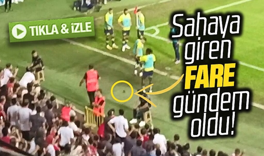 Samsunspor Fenerbahçe maçında sahaya giren fare gündem oldu