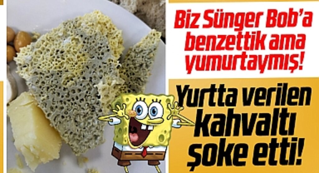 Samsun'da Münevver Ayaşlı Yurdu'nda verilen yumurta şoke etti! Sünger gibi