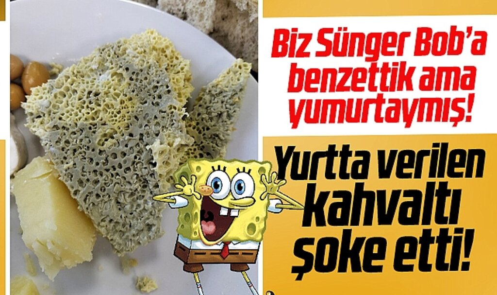 Samsun'da Münevver Ayaşlı Yurdu'nda verilen yumurta şoke etti! Sünger gibi