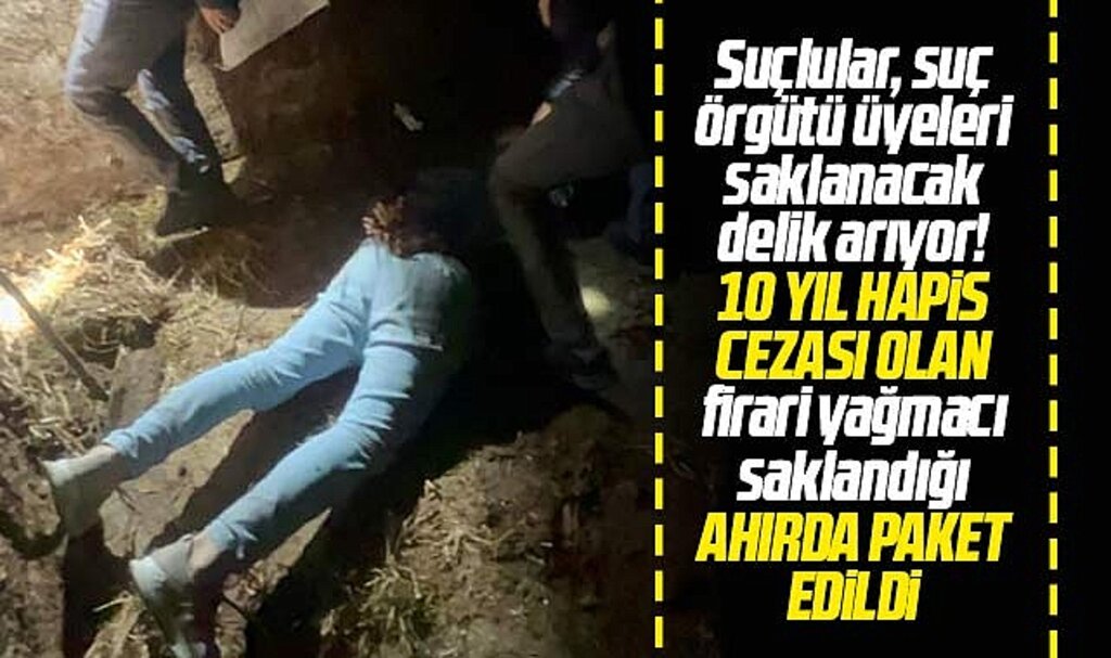 Samsun polisi firari hükümlüyü saklandığı hayvan ahırında kıskıvrak yakaladı