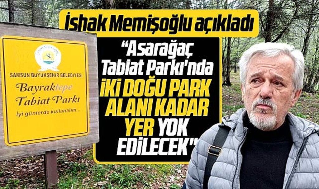 Samsun'da Asarağaç Tabiat Parkı'nda 700 dönüm alan yok edilecek!