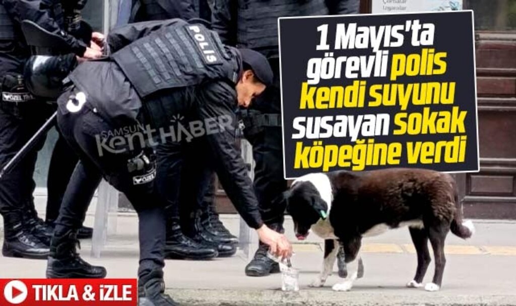 Samsun'da 1 Mayıs'ta görevli polis kendi suyunu susayan sokak  köpeğine verdi