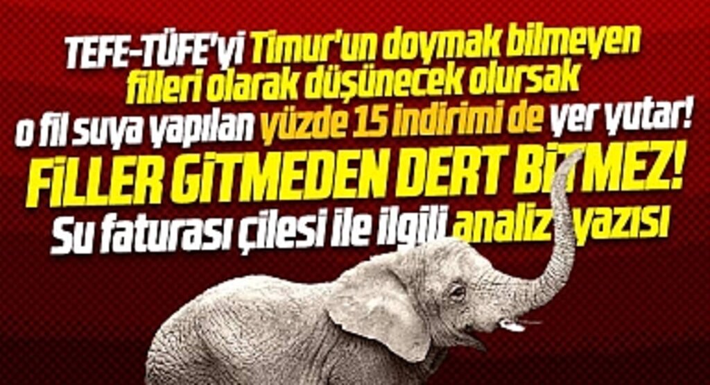 Samsunlunun su faturası çilesi TEFE-TÜFE ile ilgili analiz yazısı! Filler gitmeden dert bitmez