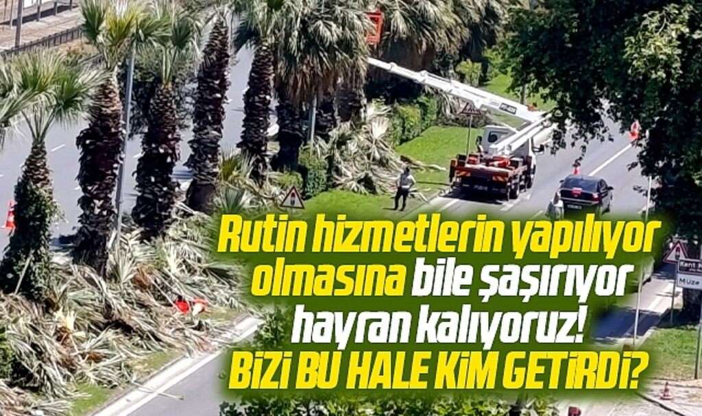 Samsun Büyükşehir rutin hizmetleri yapıyor şaşırıyoruz! Samsunluyu bu hale kim getirdi?