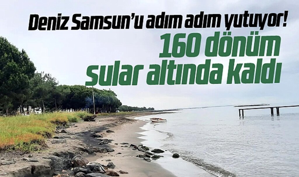 Samsun'da deniz kumsalı adım adım yutuyor! 160 dönüm sular altında kaldı