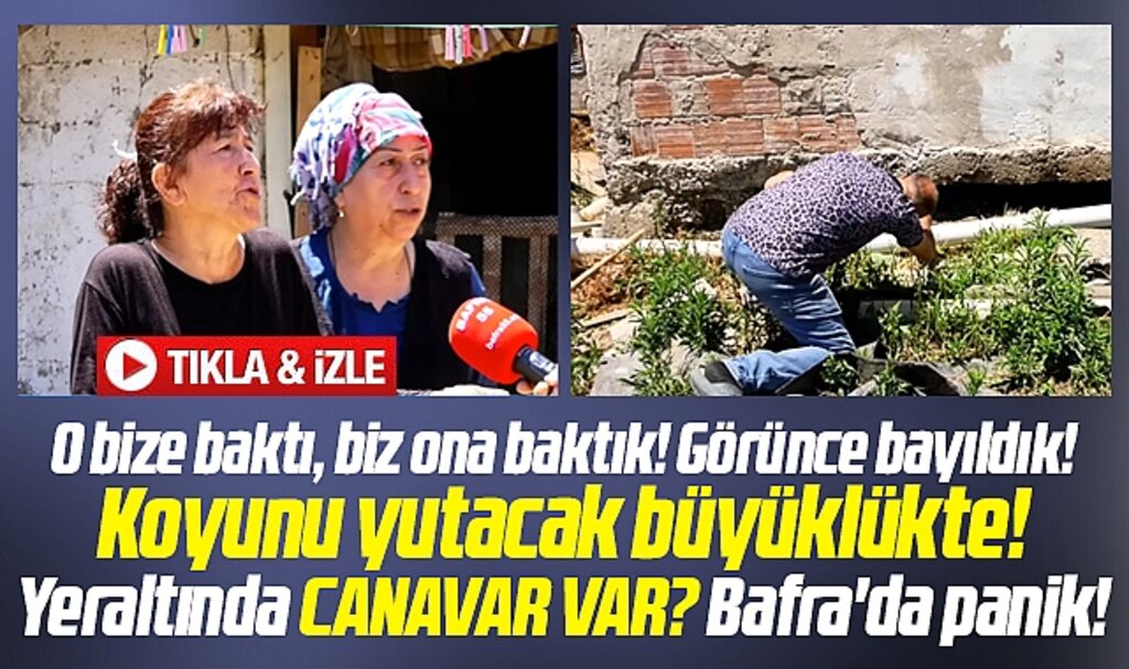 Samsun'un Bafra ilçesi Şeyhulaş mahallesinde yeraltı canavarı mı var?