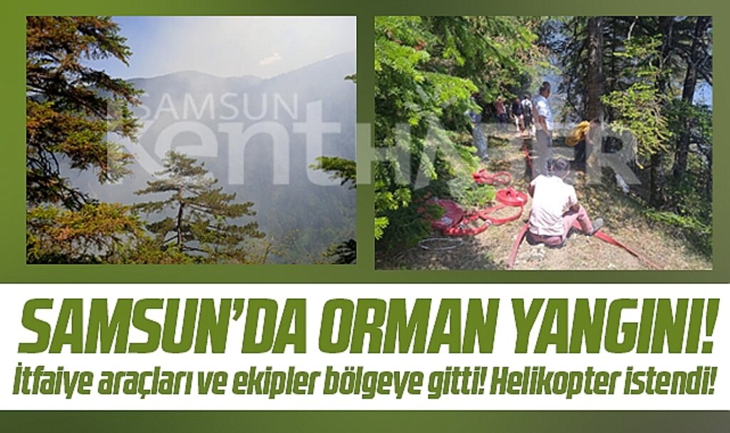 Samsun'da son dakika! Yakakent ilçesinde ormanda büyük yangın çıktı!