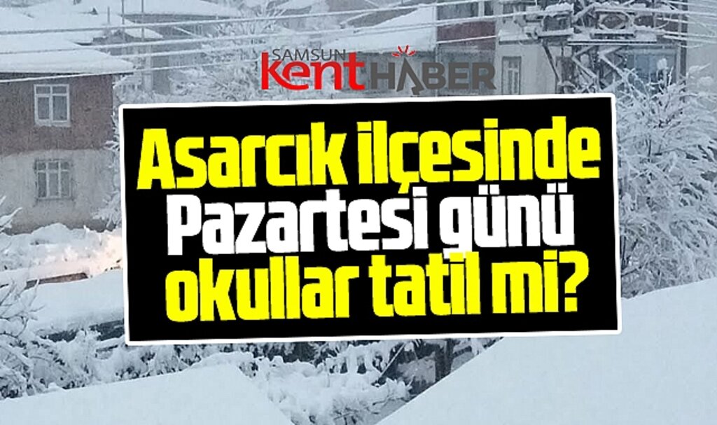 Asarcık ilçesinde 25 Kasım Pazartesi günü okullara kar tatili var mı?
