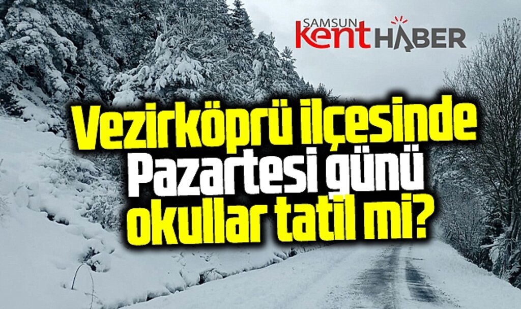 Samsun'un Vezirköprü ilçesinde okullar 25 Kasım Pazartesi günü tatil mi?