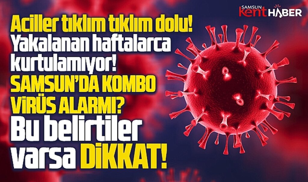 Samsun'da Kombo virüs alarmı? Bu belirtiler varsa dikkat!