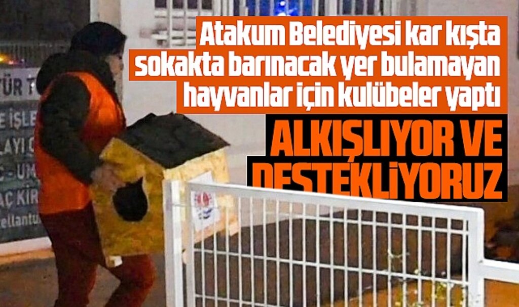 Samsun'da Atakum Belediyesi kar nedeniyle sokak hayvanlarına kulübeler yaptı