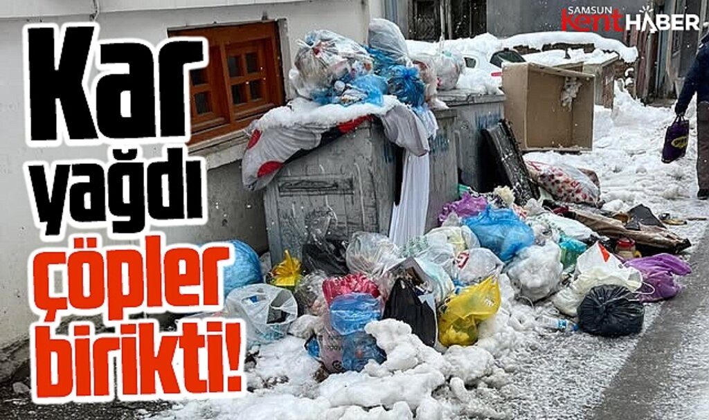 Samsun'da kar yağışı nedeniyle çöp konteynerleri temizlenemedi