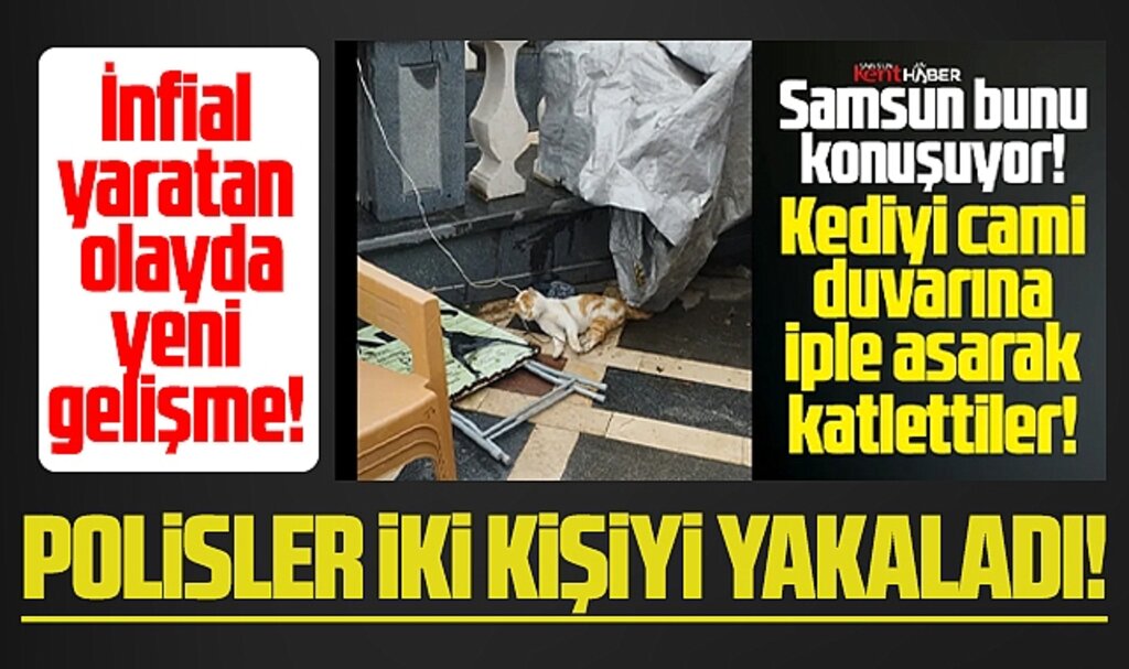 Samsun'da bir kedinin asılarak öldürülmesi olayında yeni gelişme! İki kişi yakalandı
