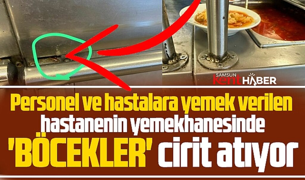 Samsun'da hastane yemekhanesinde böcekler cirit atıyor!