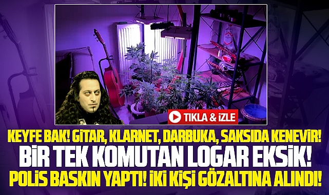 Samsun'da saksı içine kenevir ekilen eve polis baskın yaptı! 