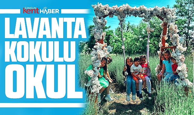 Samsun'da lavanta bahçeli okul, çevresine lavanta kokusu yayıyor 