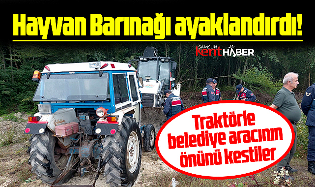 Samsun Atakum'da barınak gerilimi! Traktörle iş makinasının önünü kestiler 