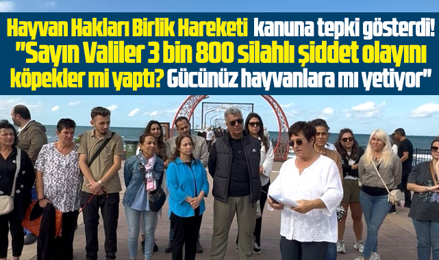 Samsun'da Hayvan Hakları Birlik Hareketi'nden kanun tepkisi! Katliam getirdi!